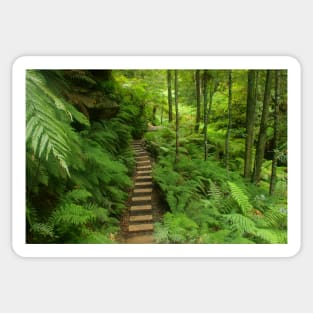 Pathway of ferns Sticker